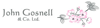 John Gosnell Pharmaceutical ERP Case Study
